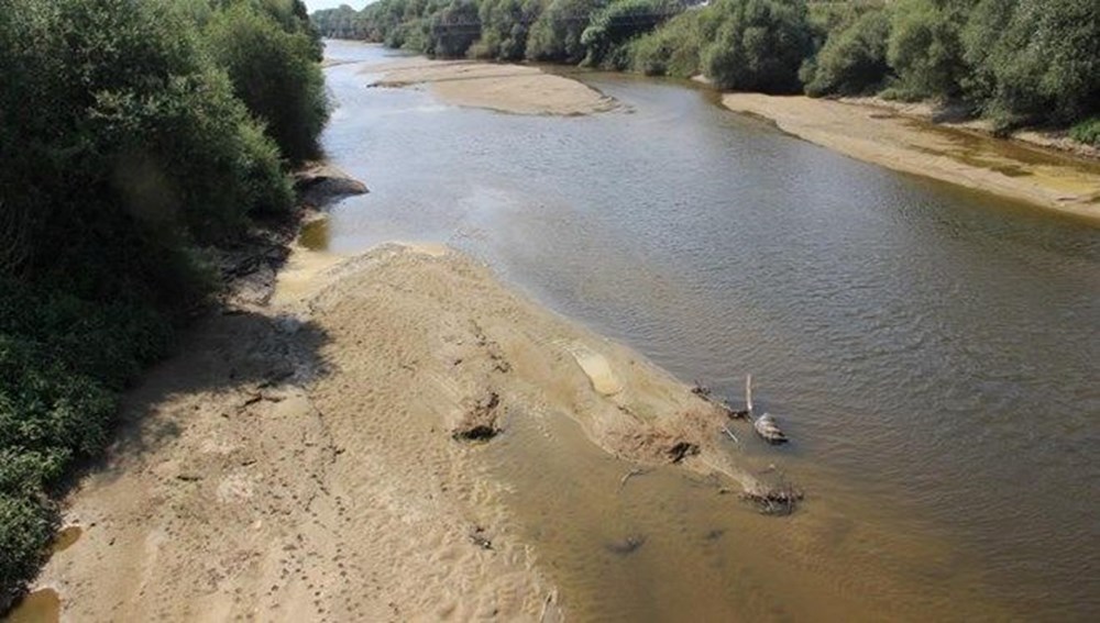 Ege'nin can damarı kuruyor: Balıklar oksijensizlikten öldü - 4