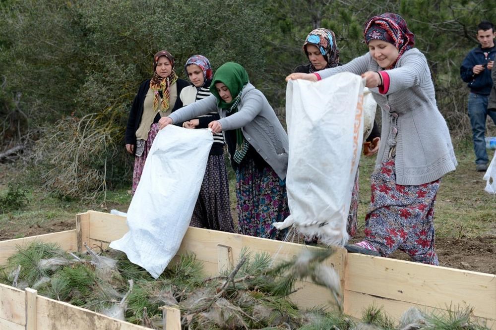 Kadınlar ekmeğini ''Orman''dan çıkartıyor - 1