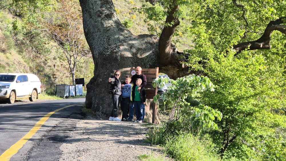 330 yıllık çınar ağacı: 2 devlet, 15 padişah, 12 cumhurbaşkanı gördü 73 76HuVOAjjkiUJBPc0dQeZA