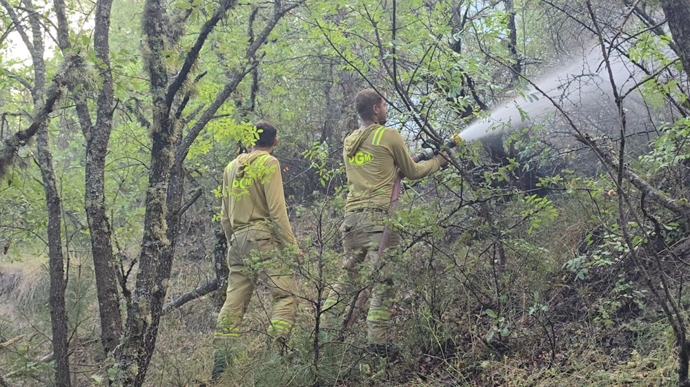 Türkiye güne yangınla başladı... 3 ilde orman yangını: Sıcaklıklar artıyor, iki güne dikkat! - 8