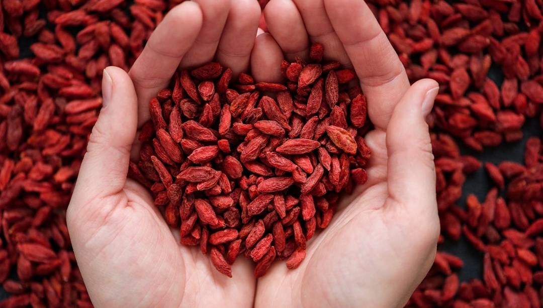 Kurt üzümü olarak da biliniyor! Değerini en çok Japonlar biliyor: Kanseri önlediği ispatlandı