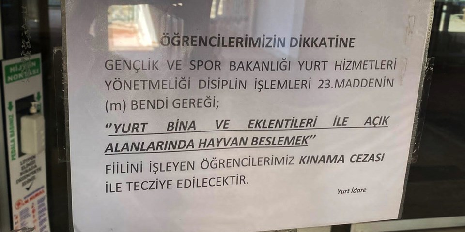 Üniversite yurdundan tepki çeken karar: Sokak hayvanlarını besleyen öğrenciler cezalandırılacak - 1