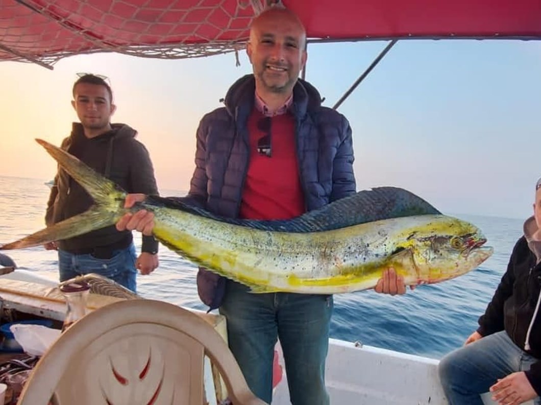 kusadasi korfezi nde 15 kiloluk lambuka baligi yakalandi ntv