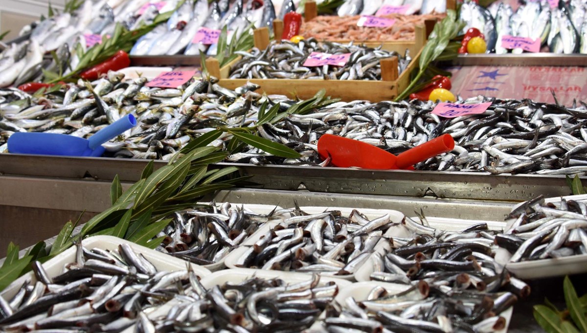 Karadeniz'de Ege hamsisi