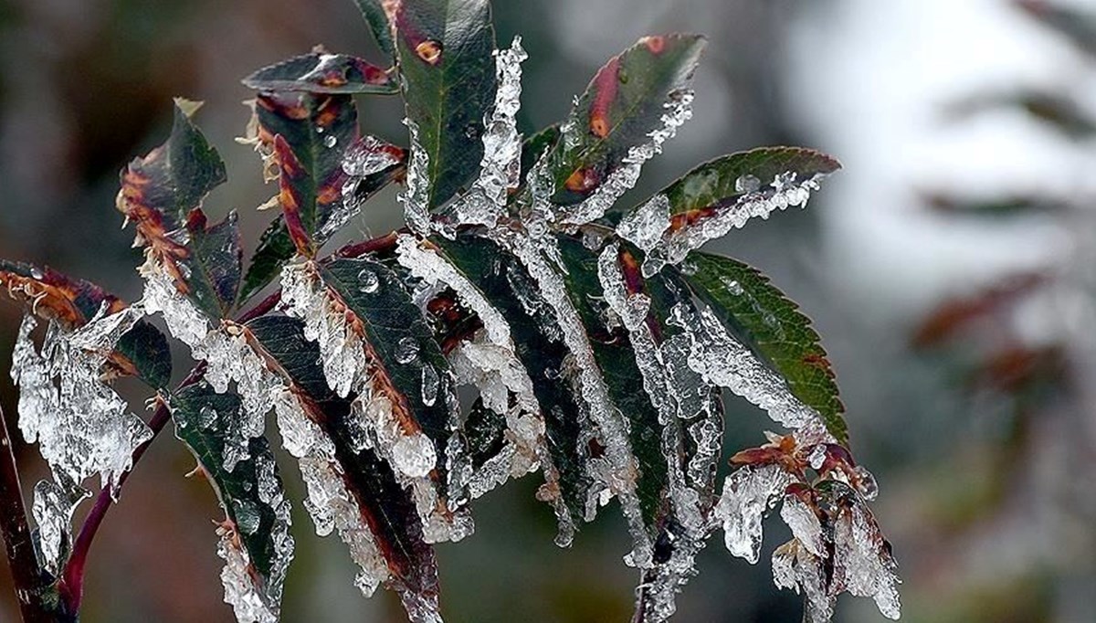 Meteorolojiden zirai don uyarısı Meteorolojiden zirai don uyarısı
