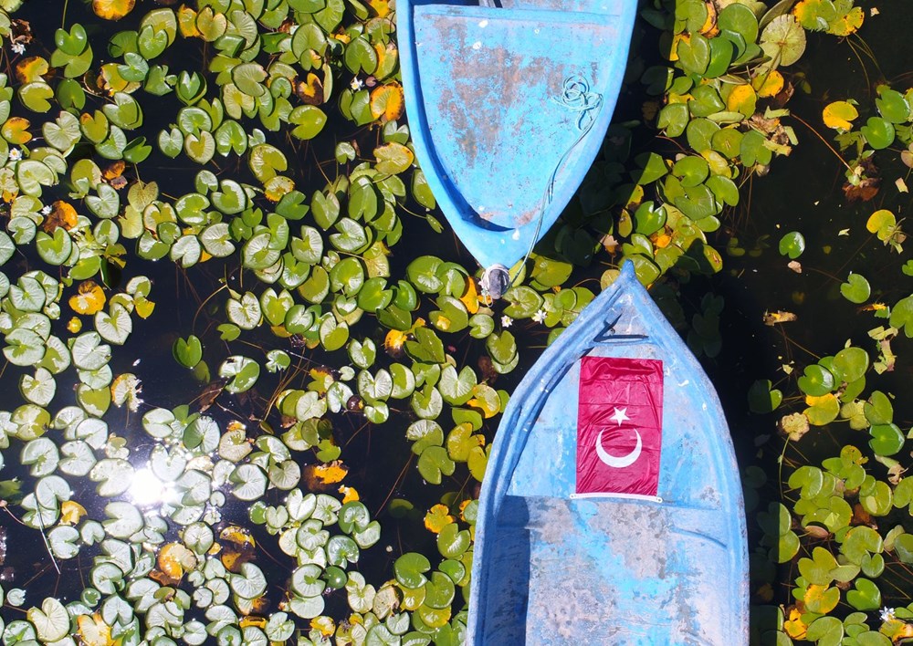 Türkiye'nin en büyük nilüfer bahçesi: Beyşehir Gölü - 18