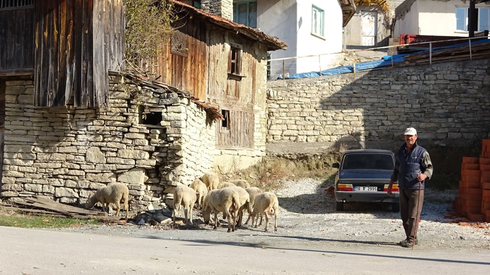 Köyün yarısı corona virüse yakalandı, kimse vefat etmedi - 4