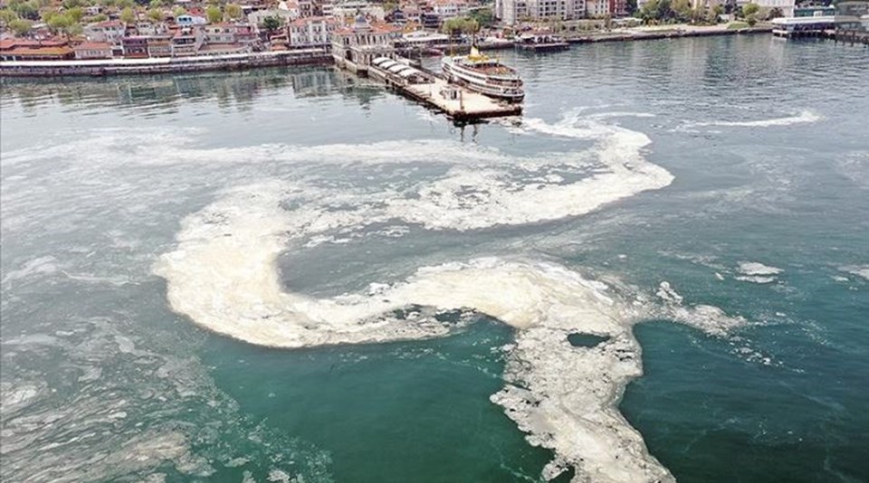 Müsilaj nedir, nasıl oluşur? Müsilaj oluşumunun nedenleri - 1