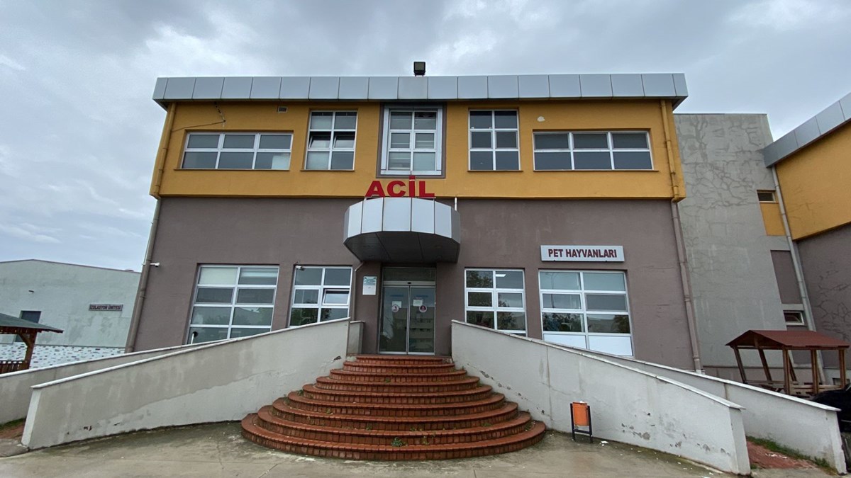 Samsun'da veteriner hekimlere saldırı kınandı Samsun'da veteriner hekimlere saldırı kınandı