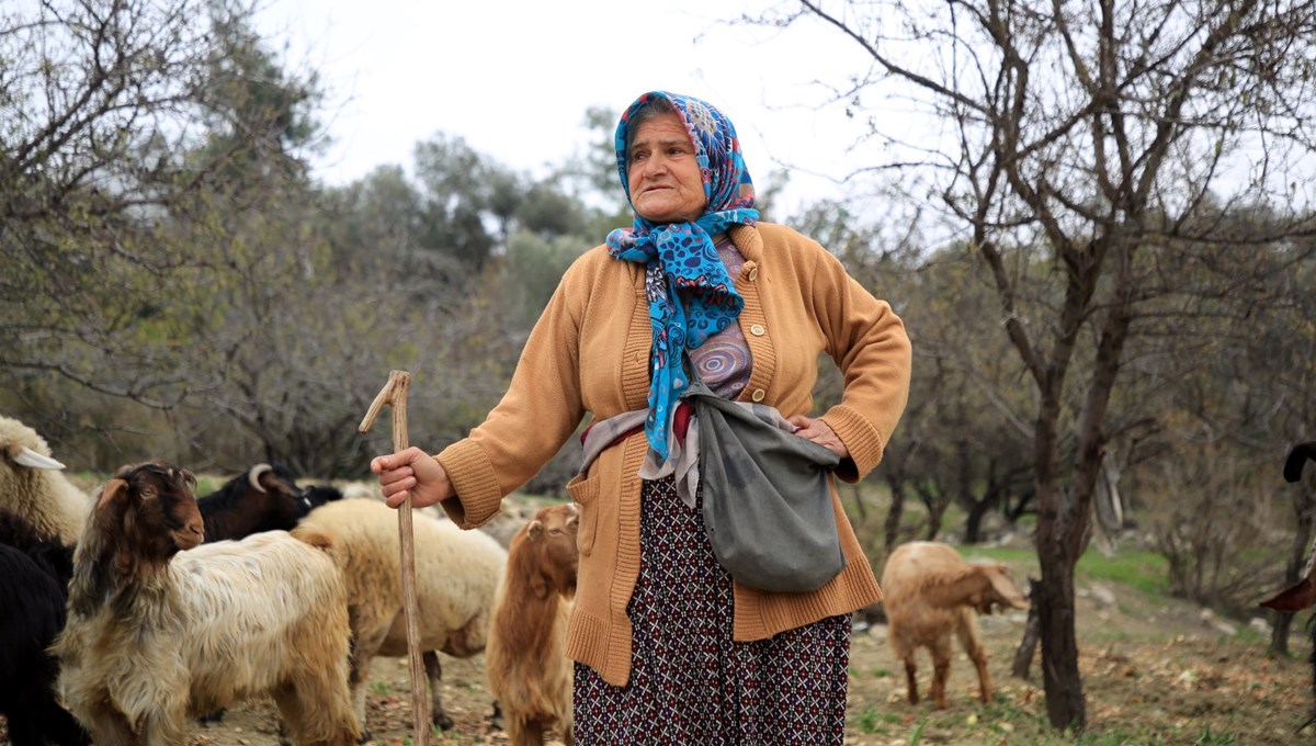 65 yaşındaki kadın çoban hayvanlarına evladı gibi bakıyor
