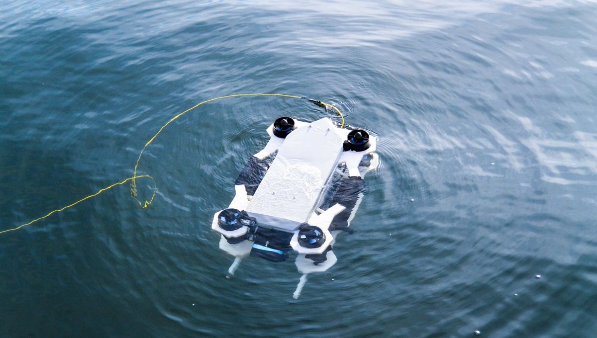 Su altınının haritasını çıkaran robot Su altınının haritasını çıkaran robot