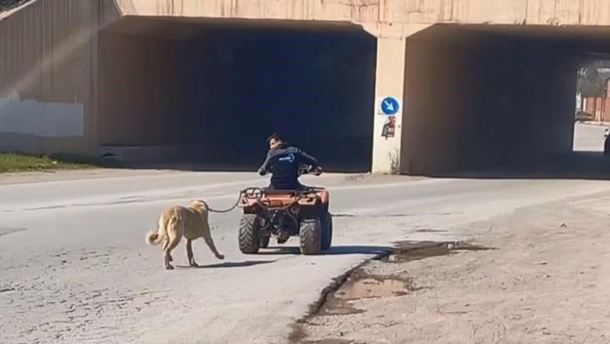 Bursa'da ATV'sine bağladığı köpeğini sürükledi