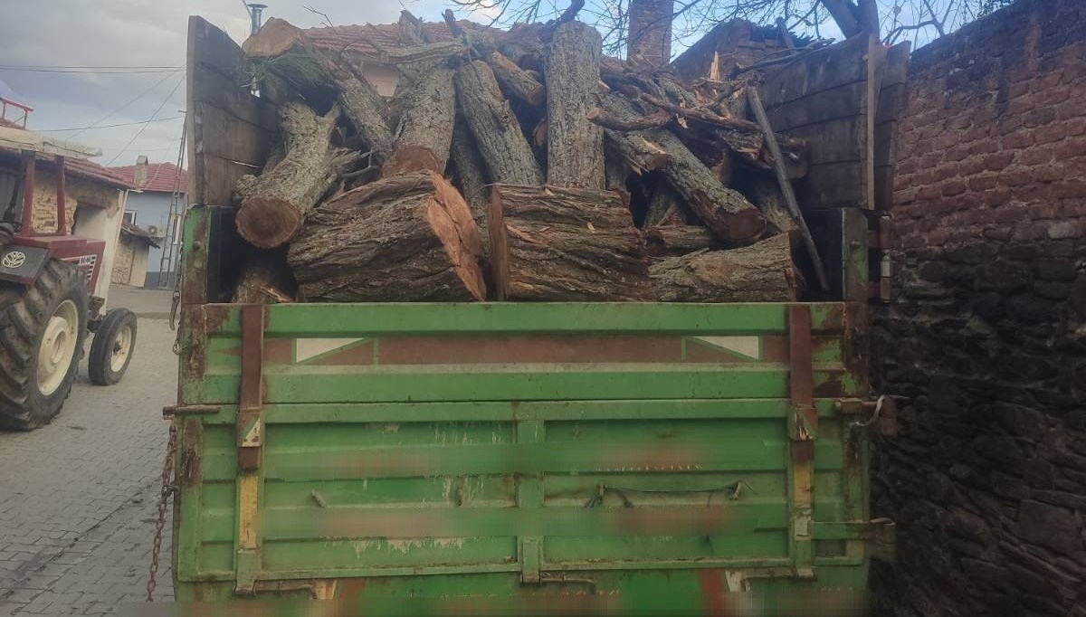 Ormanda ağaç kesen şüpheli yakalandı Ormanda ağaç kesen şüpheli yakalandı