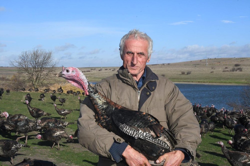 Yılbaşı hindileri satışa çıktı (Fiyatı kaç lira olacak?) - 5