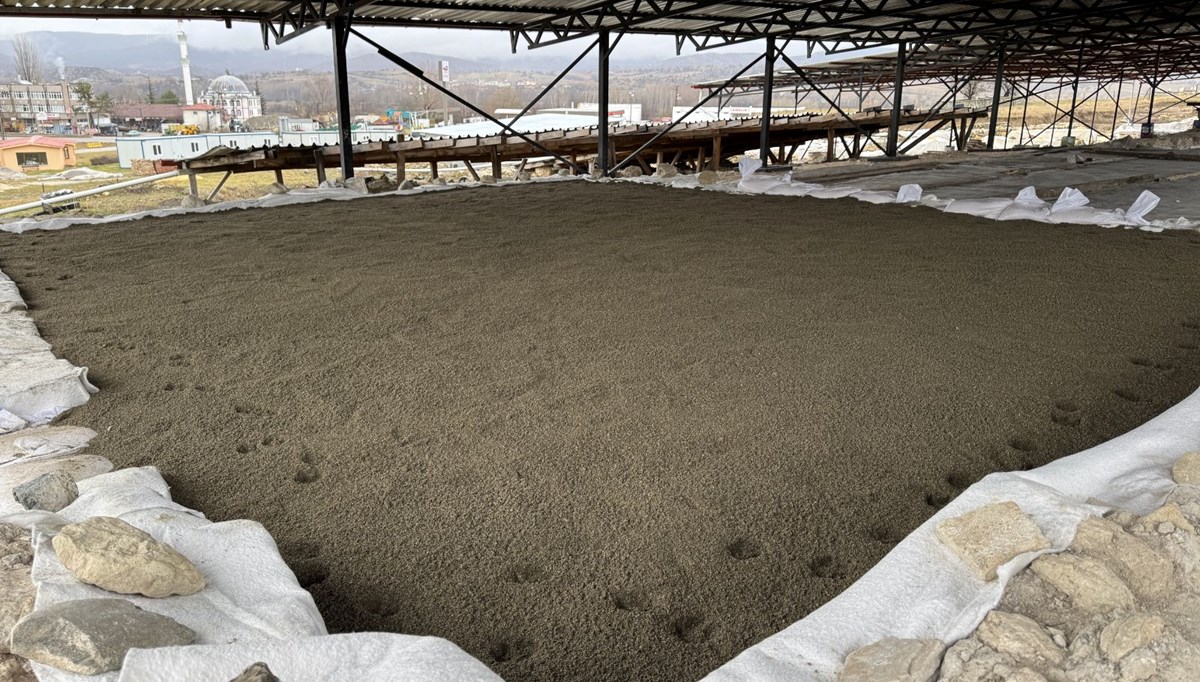 Pompeiopolis'in 2025'te ören yeri statüsü kazanması bekleniyor Pompeiopolis'in 2025'te ören yeri statüsü kazanması bekleniyor