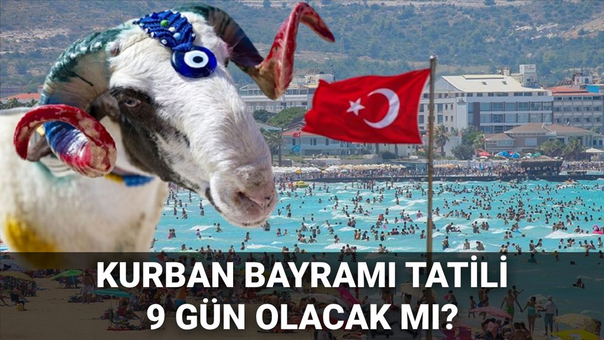 7OJZl3fxGUmz3eRAB9pMxQ.jpg