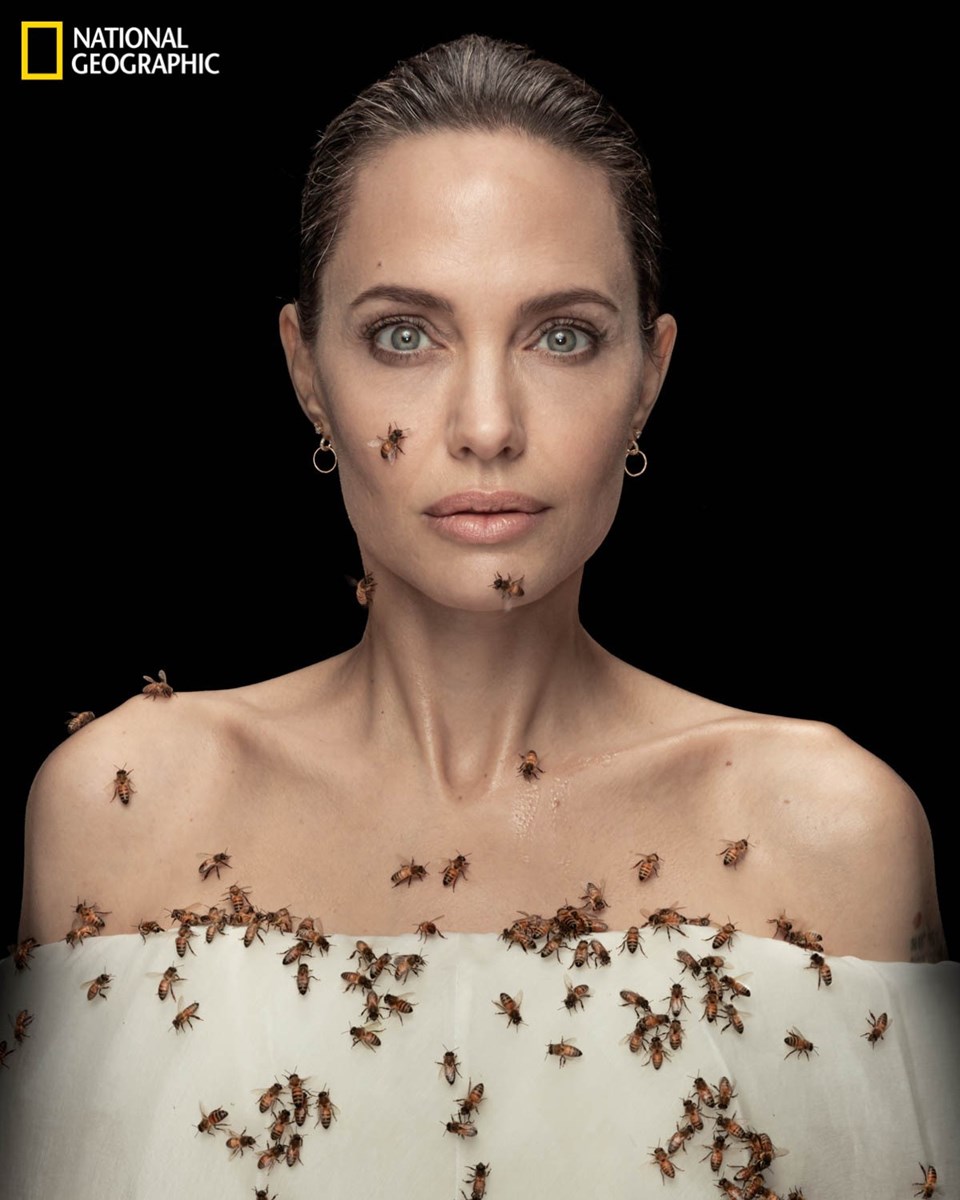 Angelina Jolie, arılar için arılarla objektif karşısında - 1