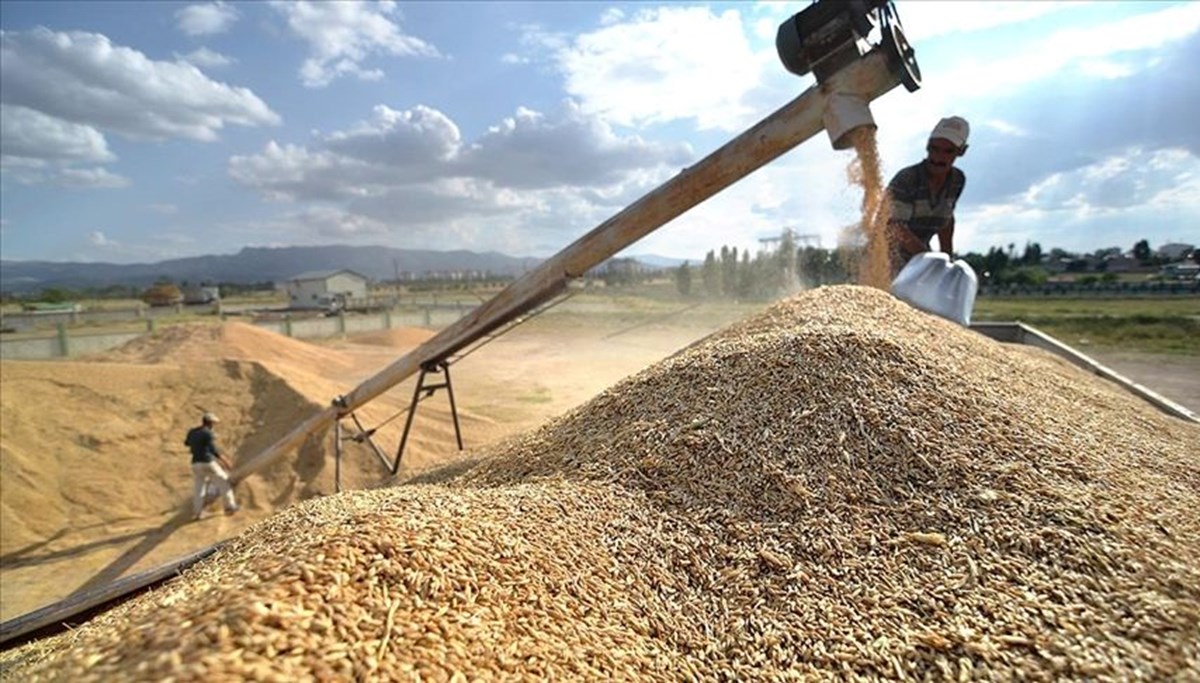 Hububat alım fiyatları ve fark ödemesi destekleri belli oldu