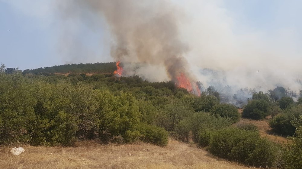 Manisa'da orman yangını - 9