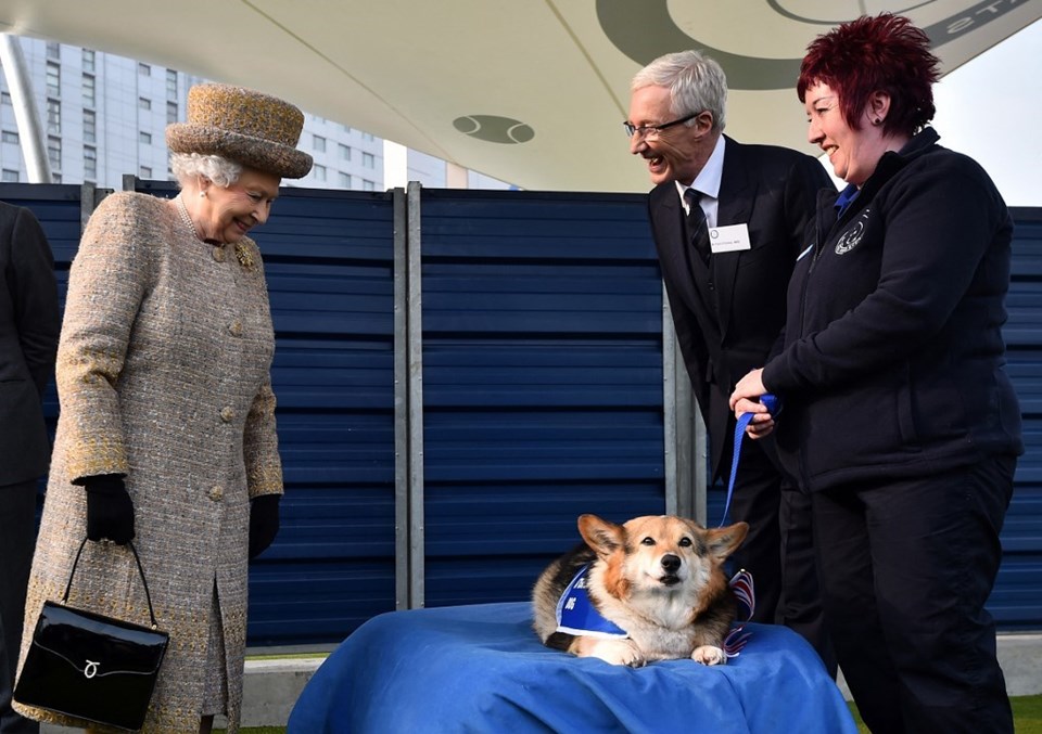 Morali bozulan Kraliçe II. Elizabeth'e iki yavru köpek hediye edildi - 1