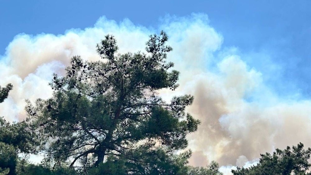 Çanakkale'de yangın büyüyor: Evler ve araçlar zarar gördü, çok sayıda tahliye var - 11