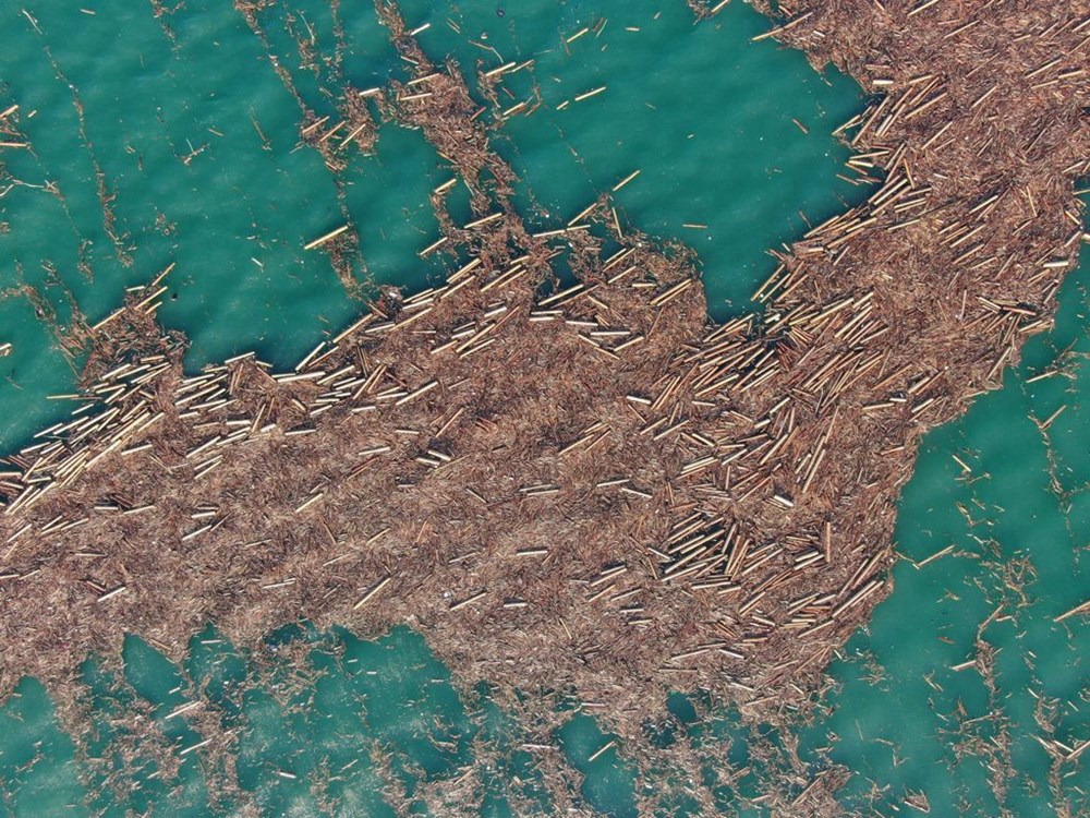 Karadeniz'de tomruk adacıkları - 4