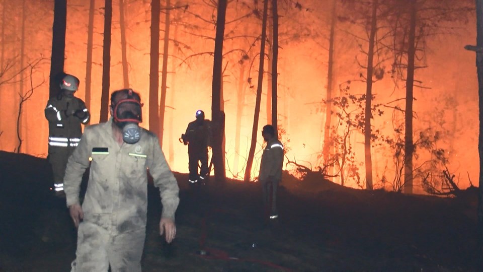 İstanbul Pendik'te orman yangını - 2