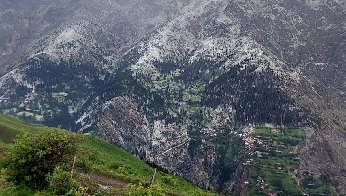 Artvin'de dolu yağışı