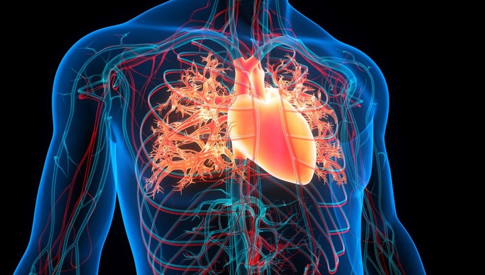 Kalp krizinden ölümler azaldı, yerini üç farklı hastalığa bıraktı