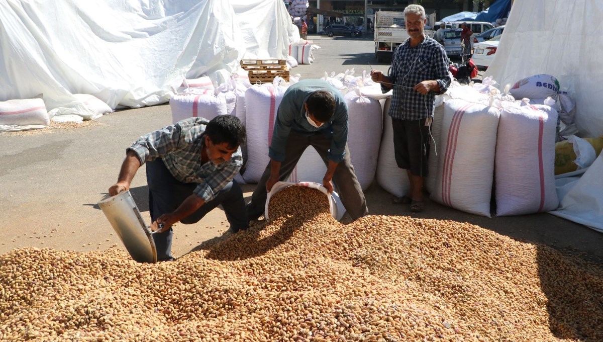 Şanlıurfa'da fıstıkları koyacak yer kalmadı