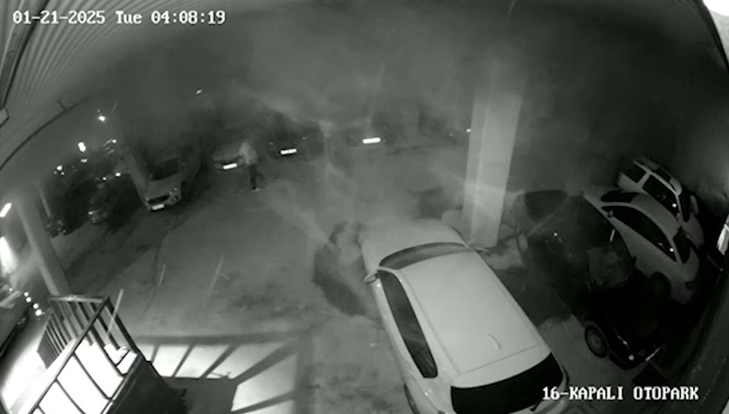 Kartalkaya faciasında yeni görüntü