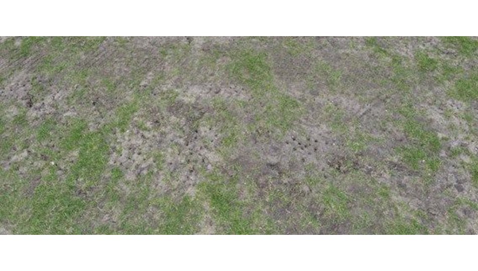 Belçika'da bir kişi futbol sahasında kendini patlattı
