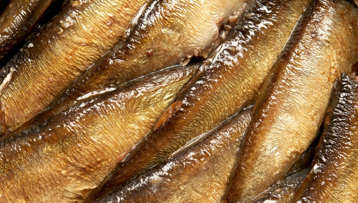 Beyin yaşlanmasını önlüyor: Uzmanlara göre hafızayı güçlendiren 8 vitamin Beyin yaşlanmasını önlüyor: Uzmanlara göre hafızayı güçlendiren 8 vitamin