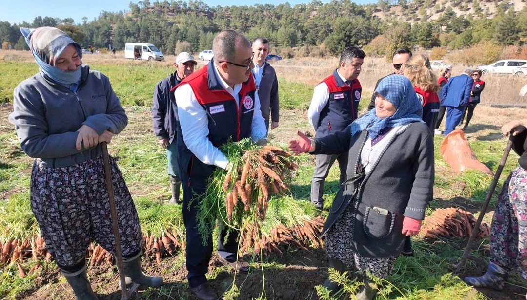 Günlük A vitamini ihtiyacının yüzde 51'ini karşılıyor! Denizli'de hasadı başladı: Köylüler binbir zahmetle toplayıp sofralara gönderiyor