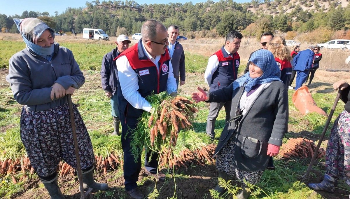 Günlük A vitamini ihtiyacının yüzde 51'ini karşılıyor! Denizli'de hasadı başladı: Köylüler binbir zahmetle toplayıp sofralara gönderiyor