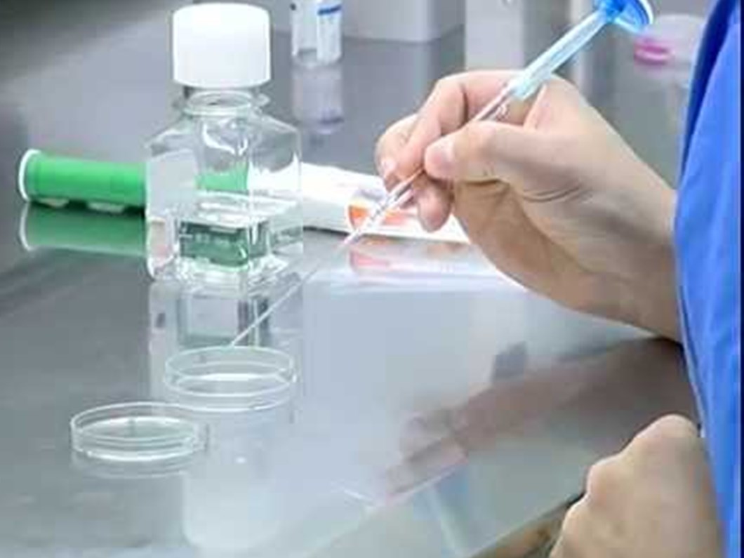 Koc Universitesi Nden Embriyo Aciklamasi Saglik Haberleri Ntv