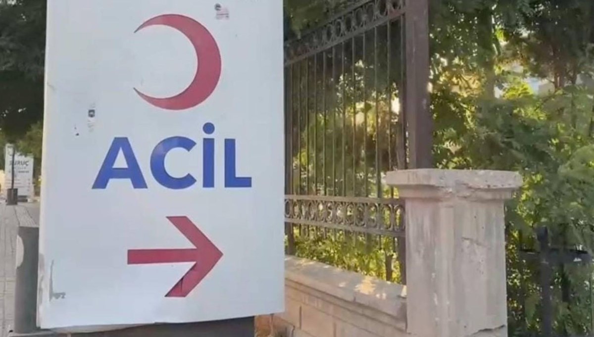 Kestiği ağacın altında kalıp öldü
