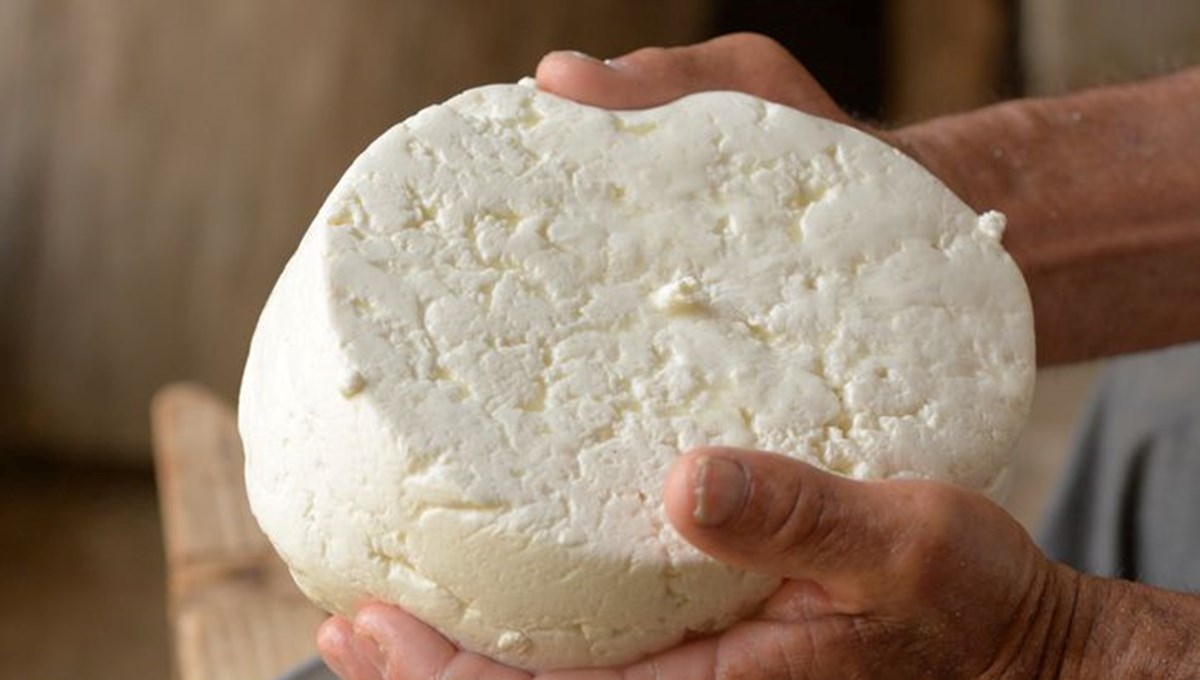 Ünlü peynir markası marketlerden toplatılıyor! Ölümcül bakteri taşıdığı ortaya çıktı Ünlü peynir markası marketlerden toplatılıyor! Ölümcül bakteri taşıdığı ortaya çıktı
