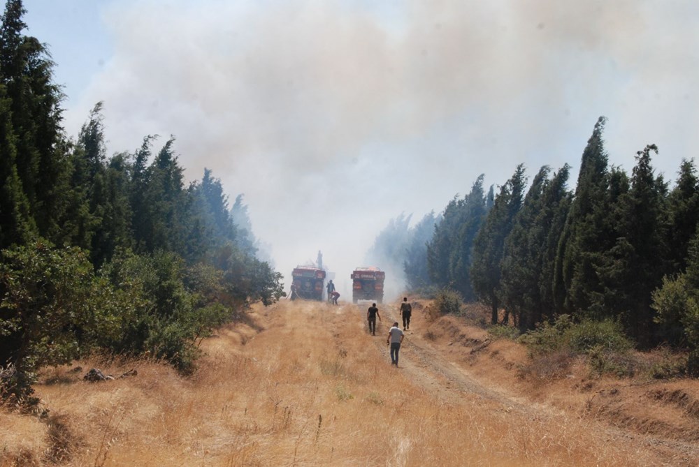 Balıkesir, Çanakkale, Antalya ve Uşak'ta orman yangını: Havadan ve karadan müdahale ediliyor - 5