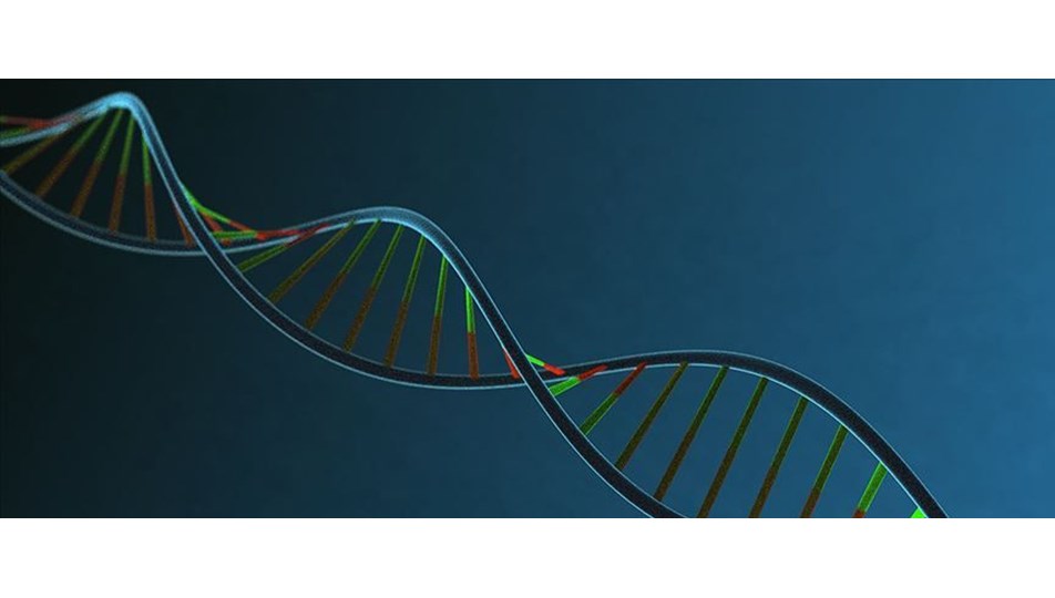 İnsan DNA'sının müziği notalara döküldü