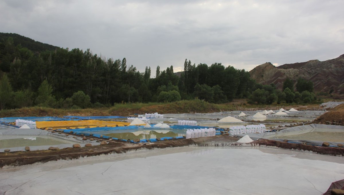 Sivas'ın esmer tuzu Japonya'nın gözdesi: 50 ton ihraç ediliyor