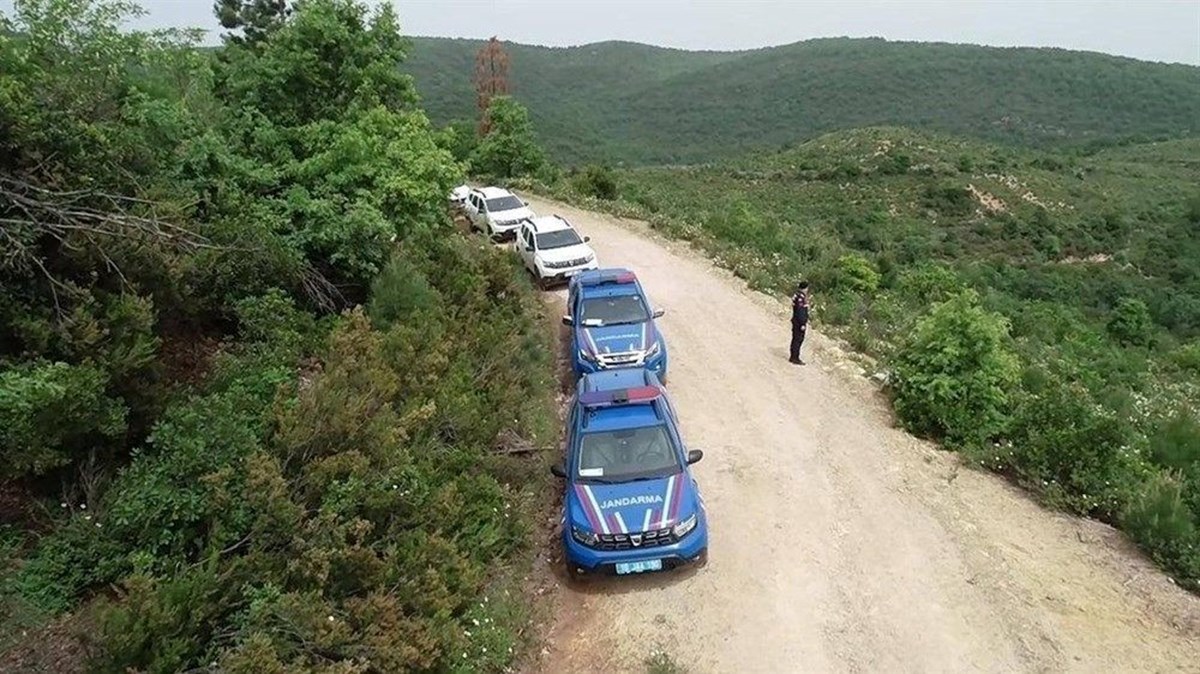 7lzv0H53yUmJYalGaz0Wsg.jpg