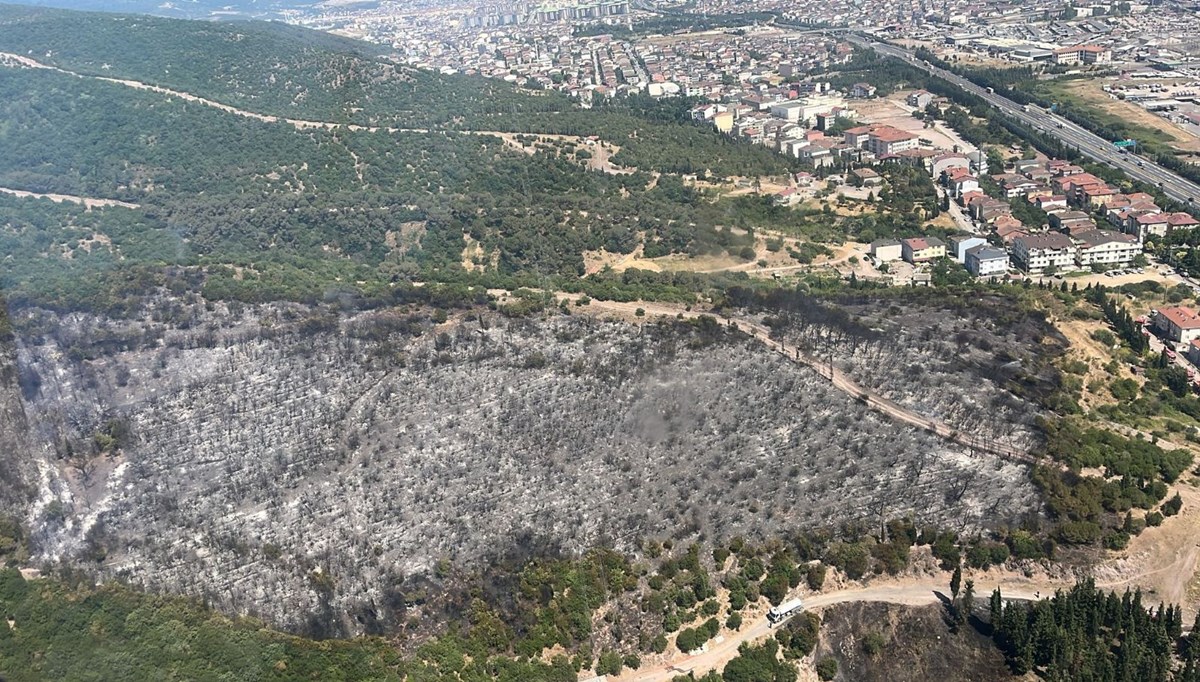 Kocaeli'de orman yangını