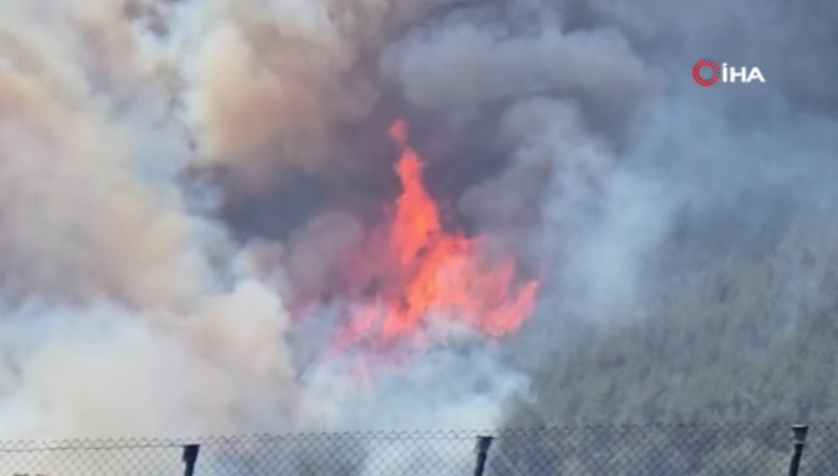 Karabük'te orman yangını: Ekipler olay yerinde