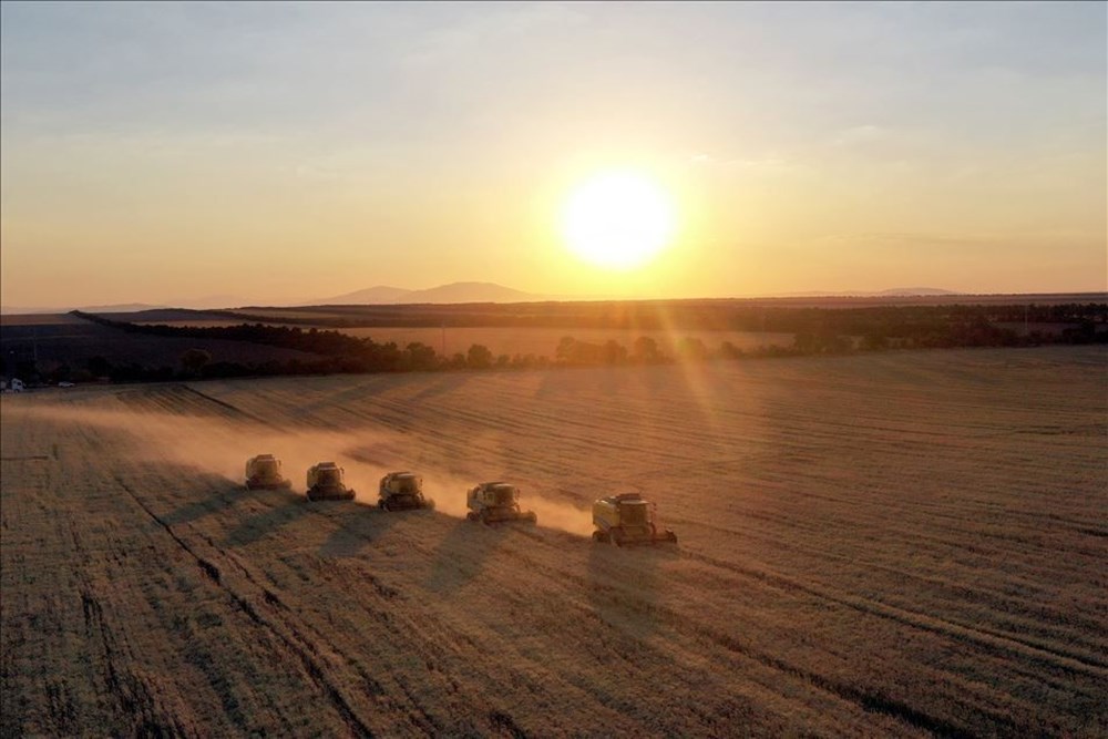 Haftanın fotoğrafları (4-10 Temmuz 2020) - 11