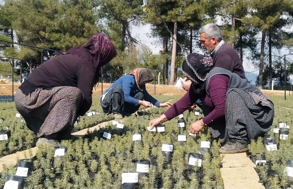 Her can için bir fidan | Depremde hayatını kaybedenlerin isimleri fidanlarda - 2