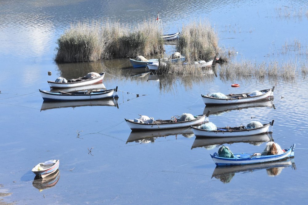 Bafa Gölü 261 kuş türüne ev sahipliği yapıyor - 3