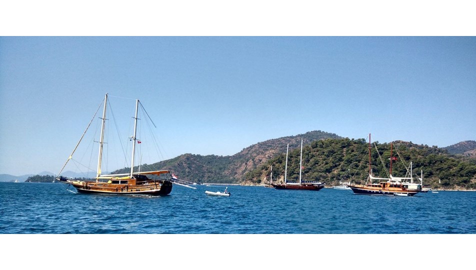 "2018 yılı Türk turizminin altın yılı olacak"