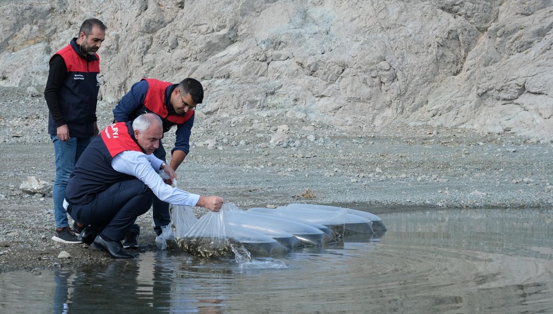 Malatya'da baraj ve göletlere milyonlarca sazan yavrusu bırakıldı