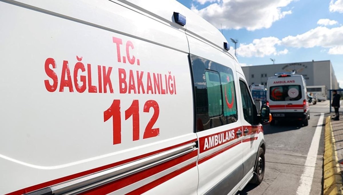 3 çocuk mantardan zehirlendi 3 çocuk mantardan zehirlendi